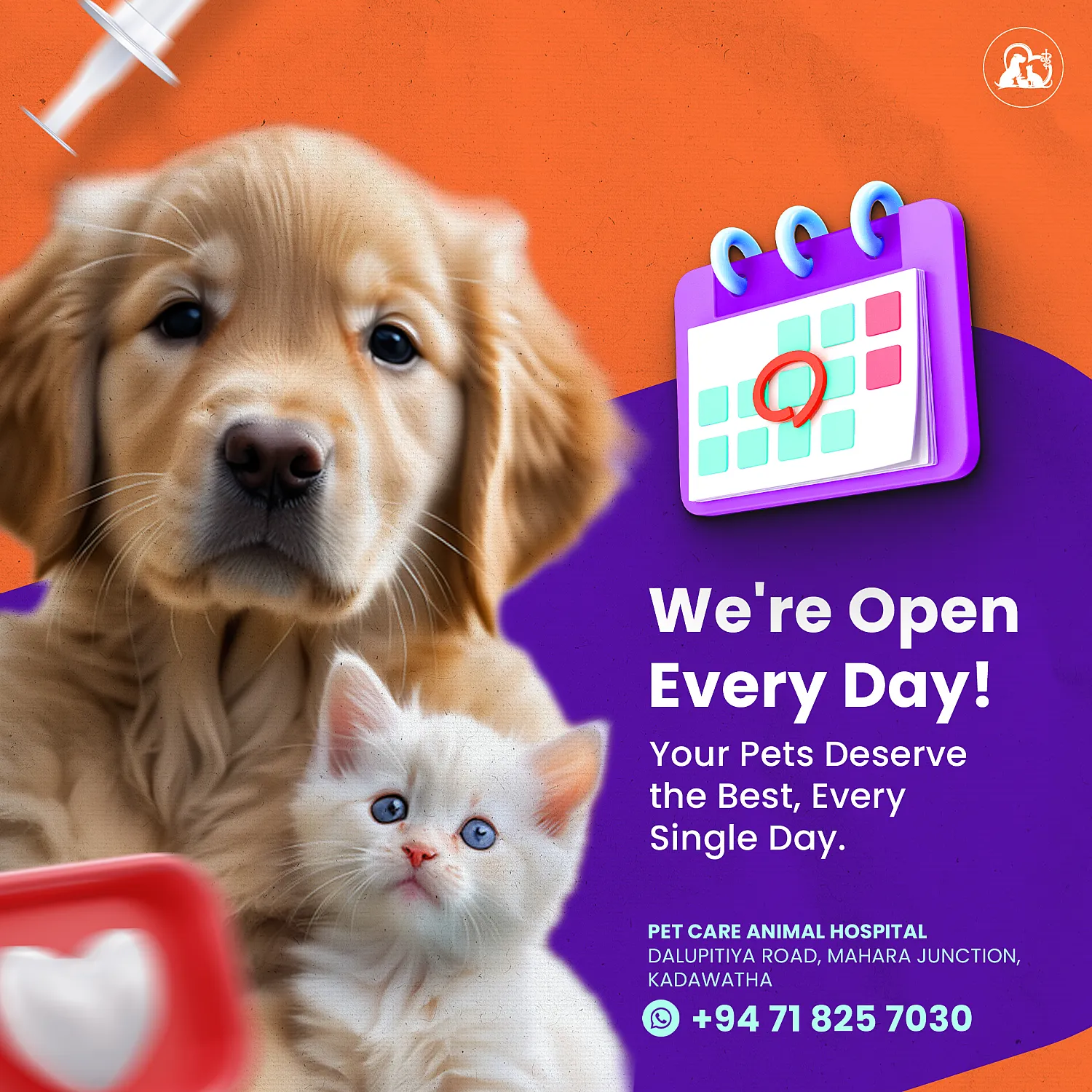 Social Media Post Design